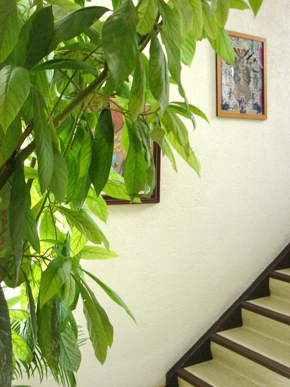 Dakini'S Bed & Breakfast Zurich Luaran gambar